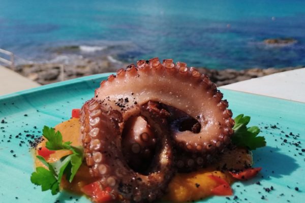 Octopus in garlic Tortuga