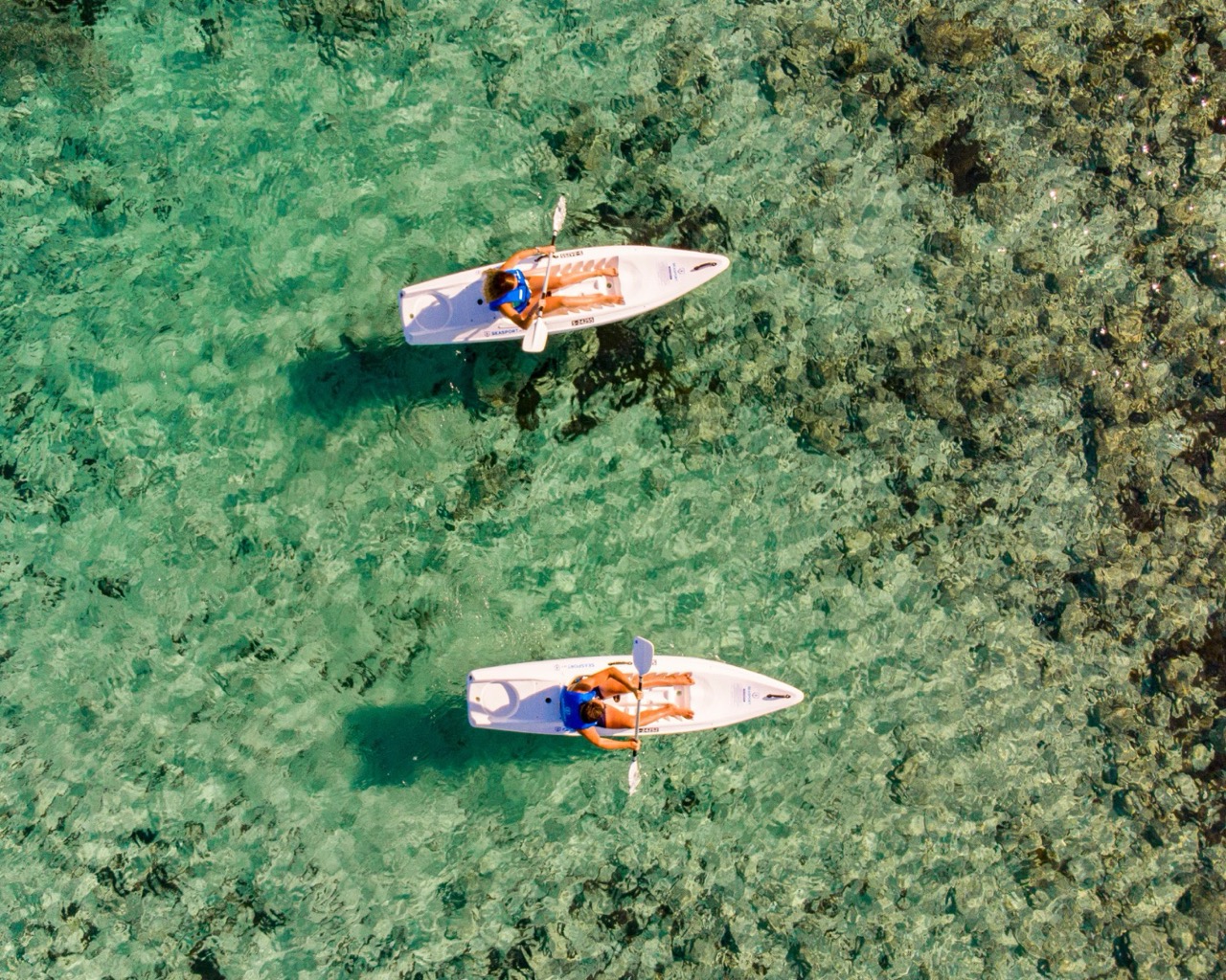 tortuga kayaking